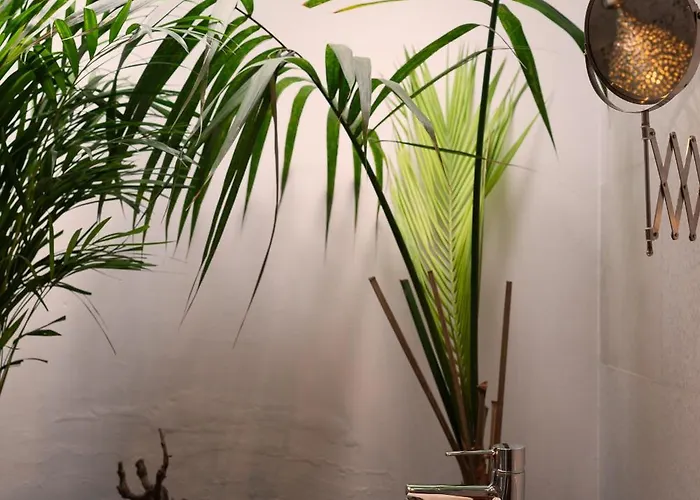 Del Moral فيلة *