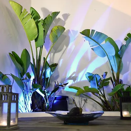 Del Moral Vila Tinajo