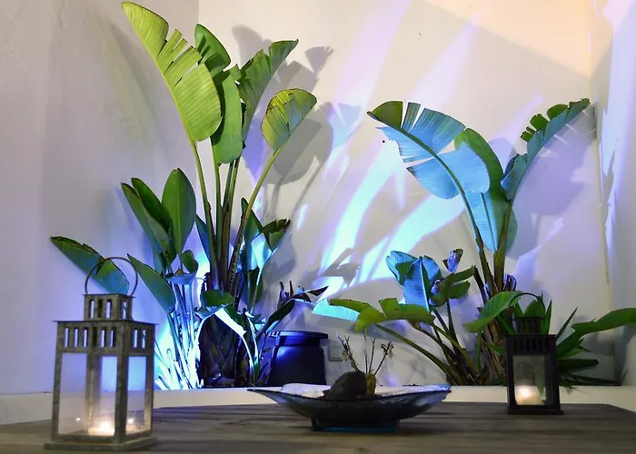 Del Moral Villa Tinajo